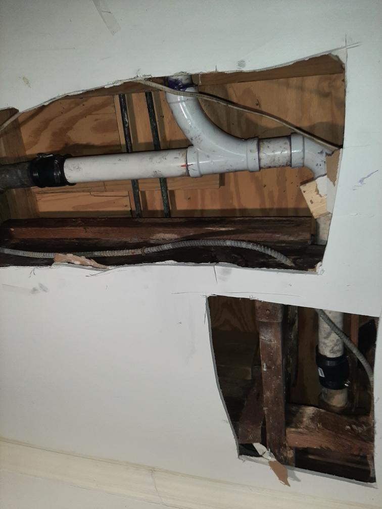 Drain Line Repair