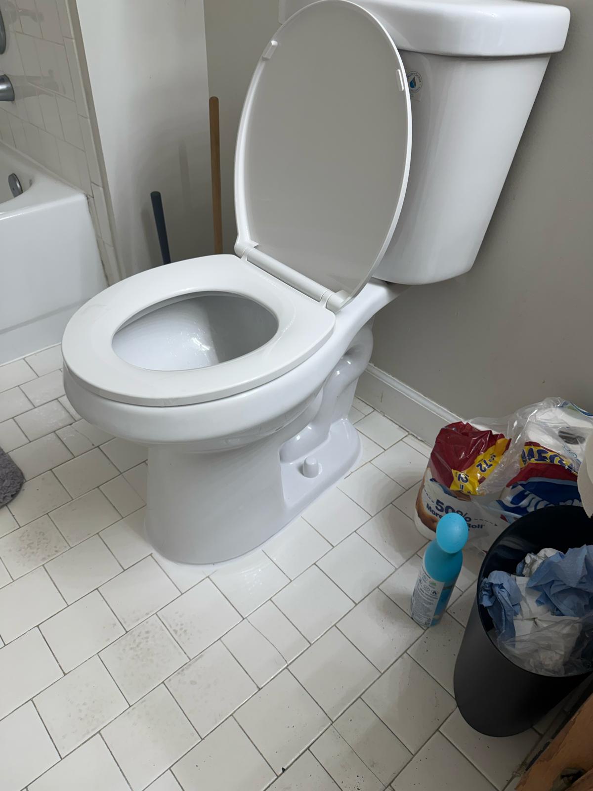 Toilet replaced